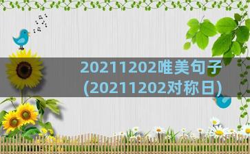 20211202唯美句子(20211202对称日)