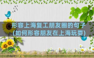 形容上海复工朋友圈的句子(如何形容朋友在上海玩耍)